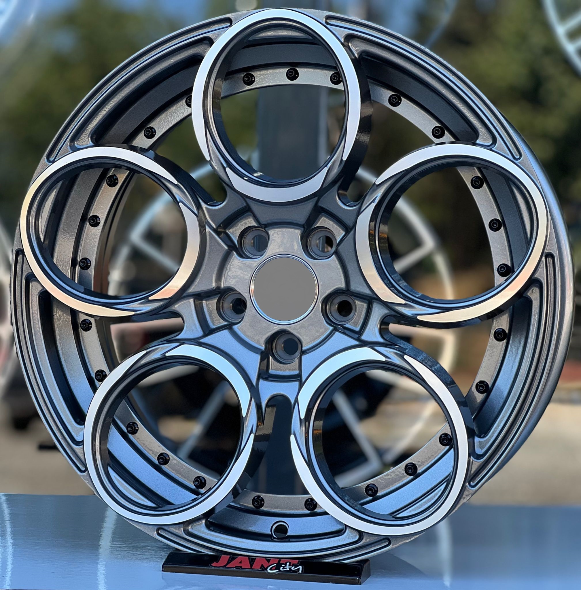 17′ 5×100 RAD48 JANT MODELİ küçük resim 3