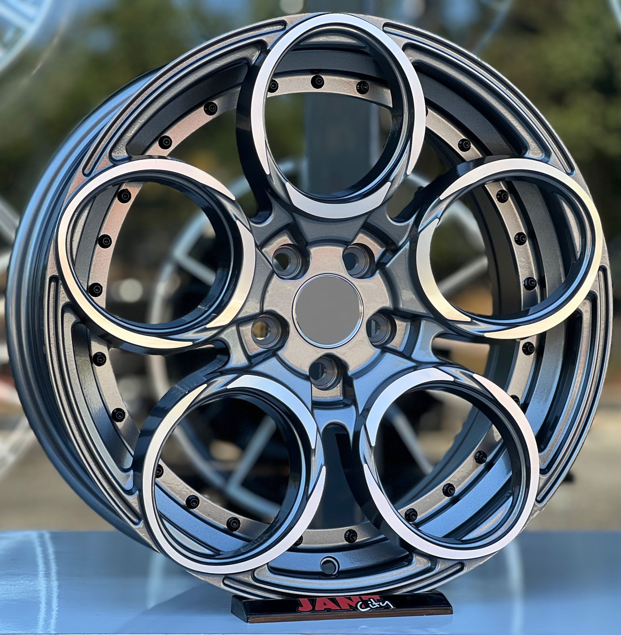 17′ 5×100 RAD48 JANT MODELİ küçük resim 2