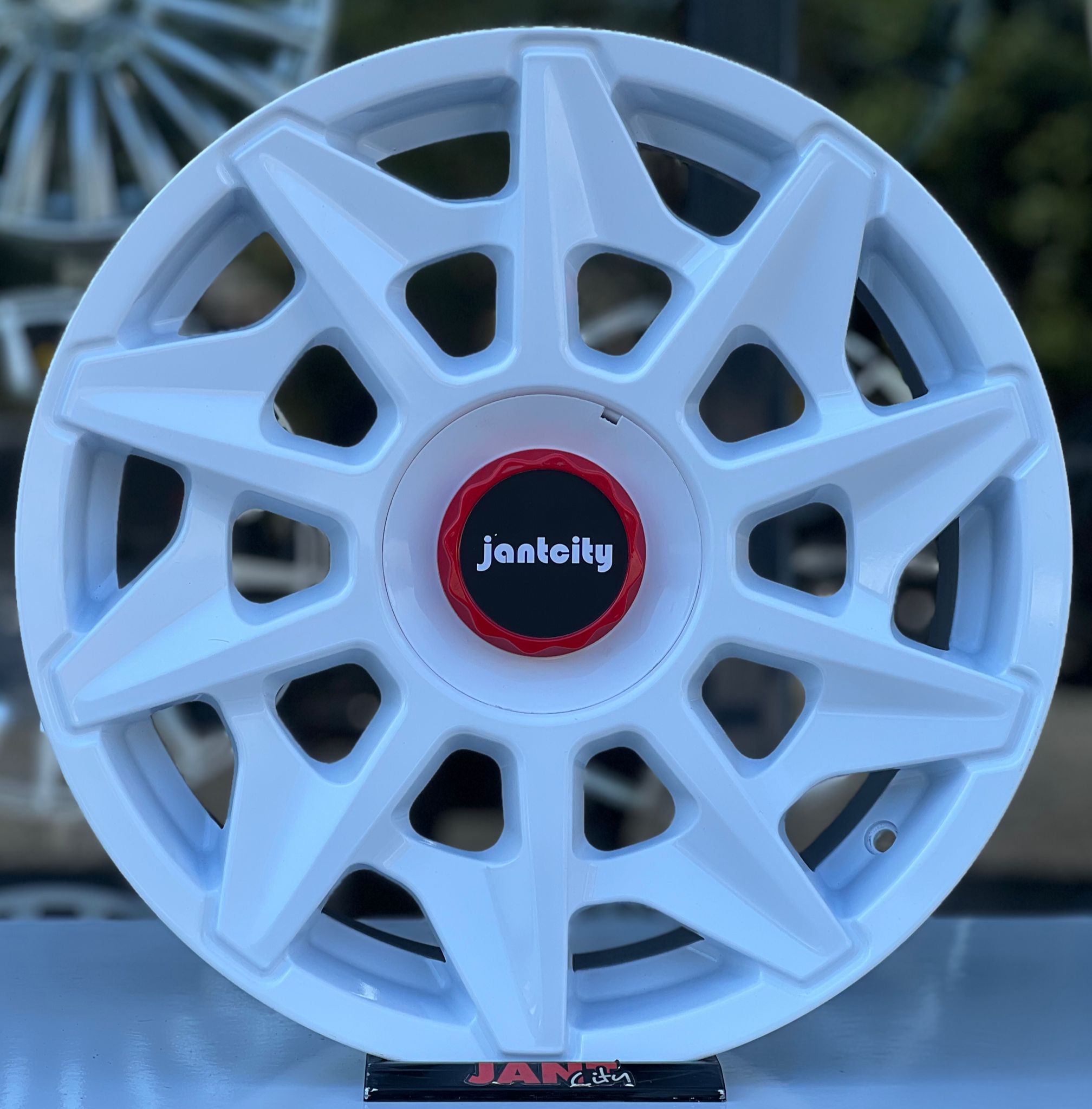 18′ 5X100 ZEUS JANT MODELİ - Görsel 1